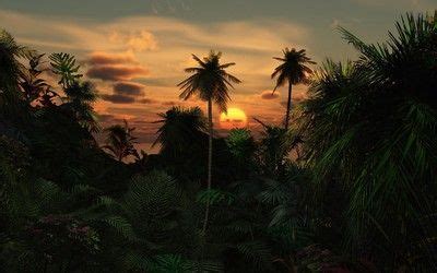 Sunset in the jungle Digital Art desktop wallpaper download Sunset ...