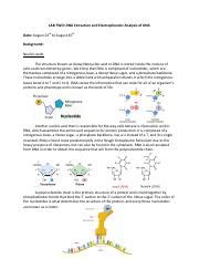 LAB 2 Report.pdf - LAB TWO: DNA Extraction and Electrophoretic Analysis ...