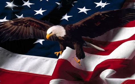 American Flag With Eagle Wallpaper (70+ images)