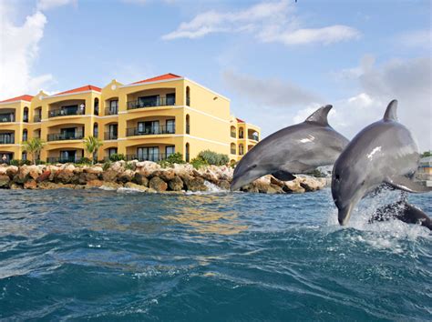 The Curacao Sea Aquarium