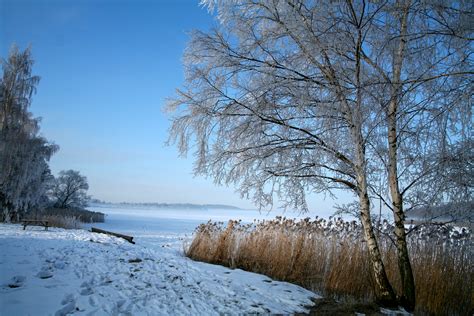 Does it snow in Denmark? Winter weather guide - Europe in Winter