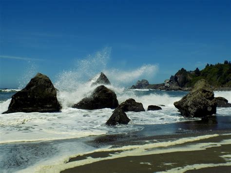 Del Norte Coast Redwood State Park - Lonely Hiker