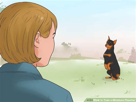 3 Ways to Train a Miniature Pinscher - wikiHow