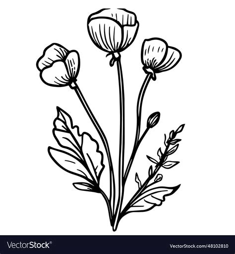 Poppy tattoo black and white tattoo outline Vector Image