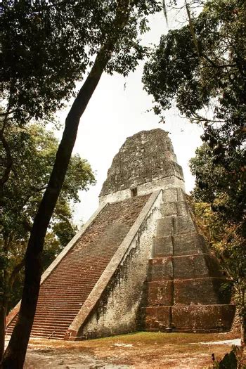 Tikal national park the complete guide – Artofit