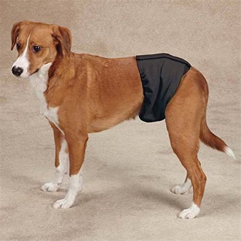 Reuseable and Washable Male Wraps - Protection for Male Dog - Dogs ...