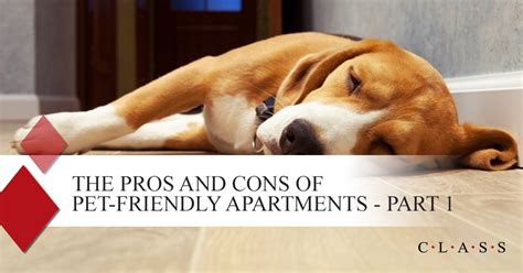 The Pros and Cons of Pet-Friendly Apartments: Part 1 - Apartment ...