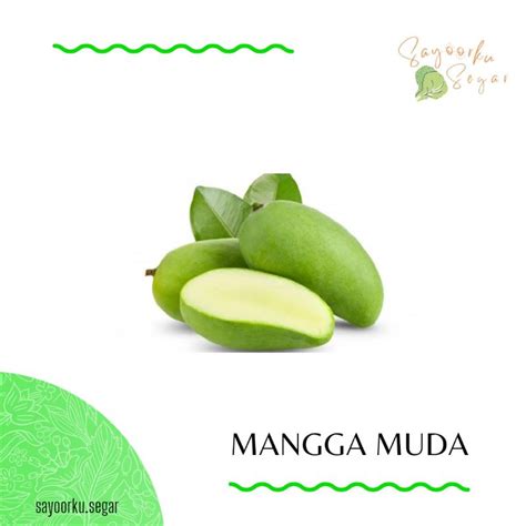 Jual Mangga Muda / Pencit 1 kg | Shopee Indonesia