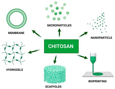 Nanomaterials | Free Full-Text | Chitosan as an Underrated Polymer in ...