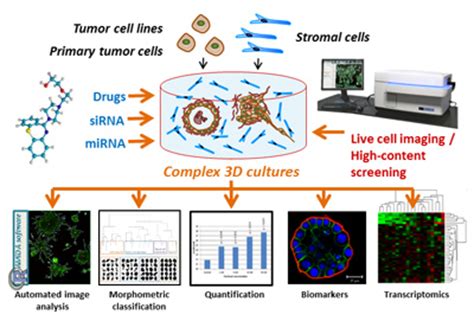 High-Content Screening Unit | TCDM – Turku Center for Disease Modeling