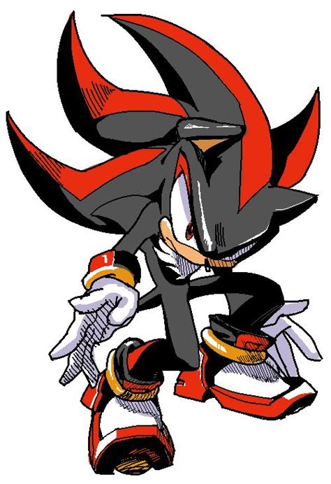 Shadow The Hedgehog Fan Art: Shadoodle | Shadow the hedgehog, Hedgehog ...