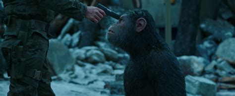 DUELING MOVIES 2017: WHICH WAS THE BETTER MONKEY MOVIE? – Action A Go ...