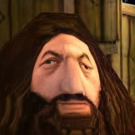 4k PS1 Hagrid | Haggord / "You Dun It Nao Arry Porrer" | Know Your Meme