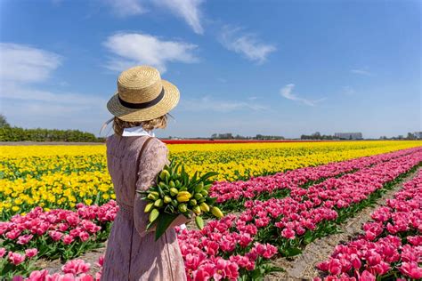 Visit the Tulip Fields in The Netherlands & Keukenhof