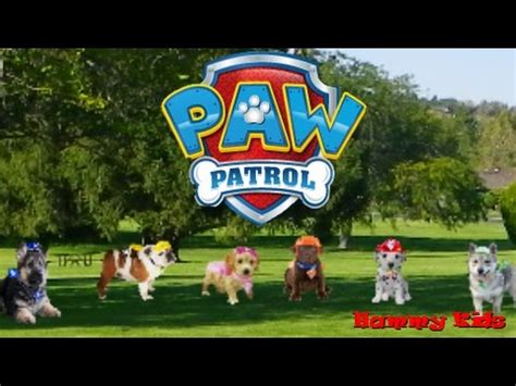 Paw Patrol Real Life Pups - YouTube