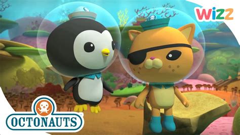 @Octonauts - Convict Fish Super Rescue | Wizz | Cartoons for Kids - YouTube