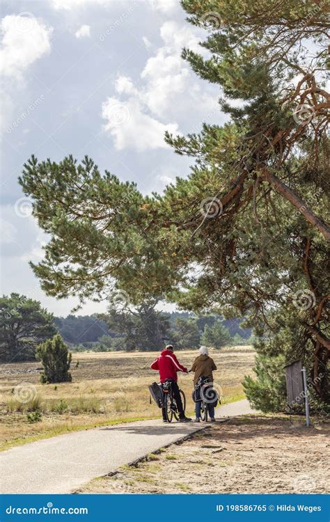 National Park Hoge Veluwe, Otterlo, Netherlands Editorial Image - Image ...