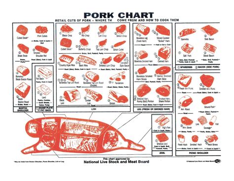 Printable Pork Cuts Chart - Printable Word Searches