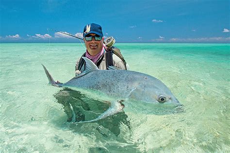 Giant trevally - Alphonse Fishing Company