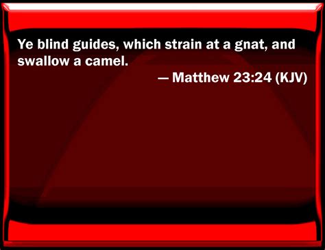 Matthew 23:24 You blind guides, which strain at a gnat, and swallow a ...