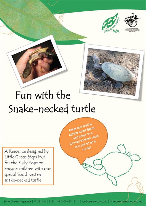 Fun with the SW Snake-necked Turtle Kit - Little Green Steps WA