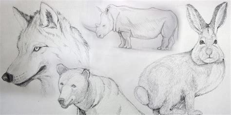 5 COURS DE DESSIN GRATUITS POUR APPRENDRE À DESSINER LES ANIMAUX.