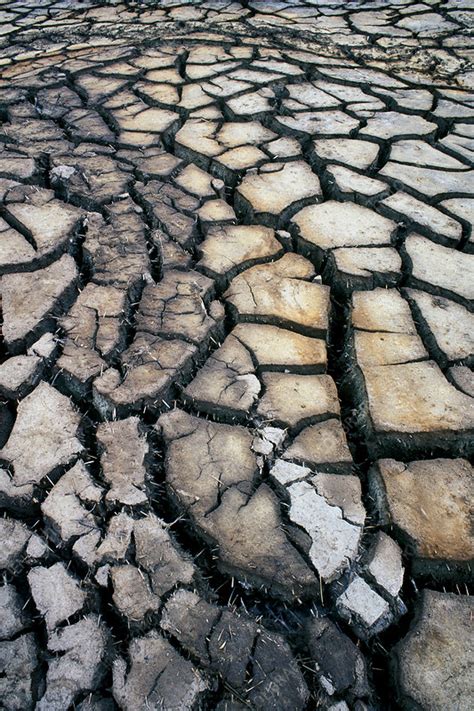 Cracked earth - Stock Image - E147/0140 - Science Photo Library