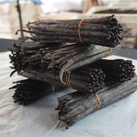 Ceylon Vanilla Beans Grade B | 2022 Sri Lanka Vanilla Beans Price Kg ...