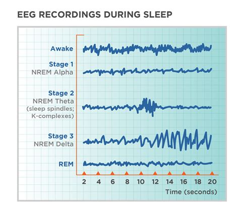 Stages of Sleep – General Psychology