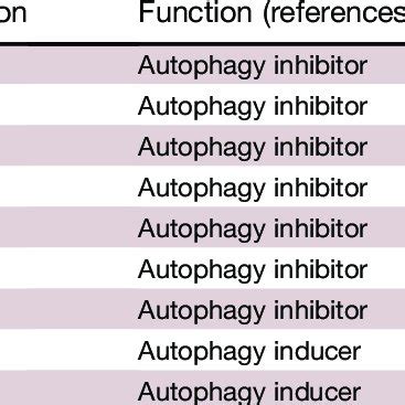 Autophagy Inhibitors and Inducers | Download Scientific Diagram