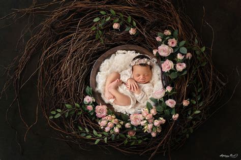 Newborn Photoshoot Props - Best 40 Ideas