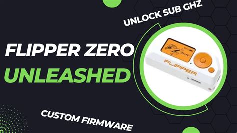 A Flipper Zero Introduction Tutorial: Installing Custom, 42% OFF