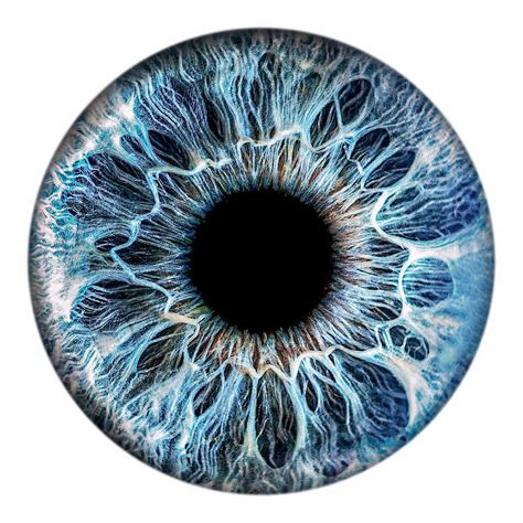 Iris Photo – Turn your eye into stunning artwork | Dipinti acrilici ...