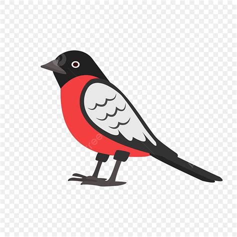 Bullfinch PNG, Vector, PSD, and Clipart With Transparent Background for ...