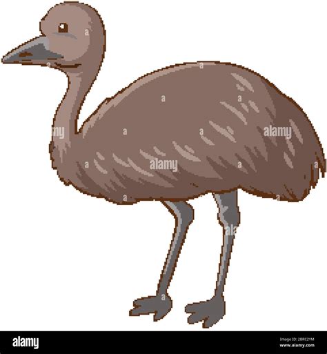 Emu cartoon character on white background illustration Stock Vector ...