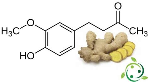 (Italiano) Zingerone: formula chimica, proprietà, presenza in natura ...