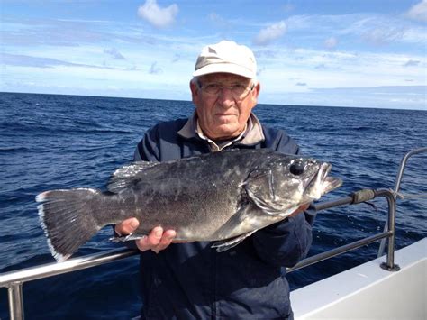 A fine Stone Bass while fishing for sharks off Carrigaholt | Fishing in ...