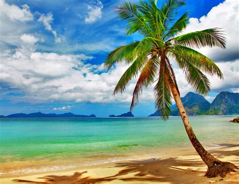 50 Tropical HD Wallpapers And Backgrounds | eduaspirant.com