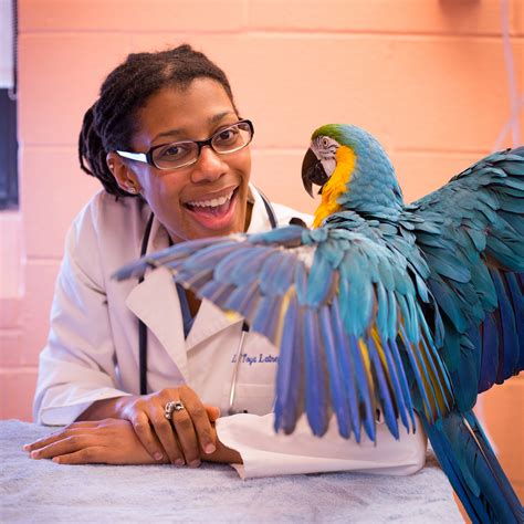 Going out of the box to learn to treat exotic creatures | Penn Today