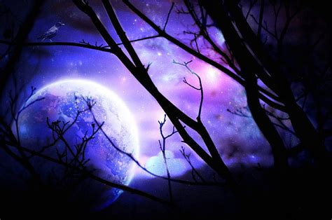 Purple Sky at Night, purple sky, premade BG, colors, forest path ...