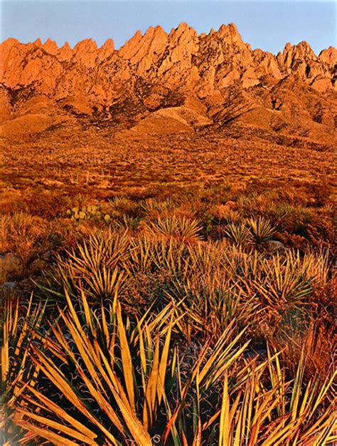 New Mexico Tells New Mexico History | Sunset, Organ Mountains, Las ...