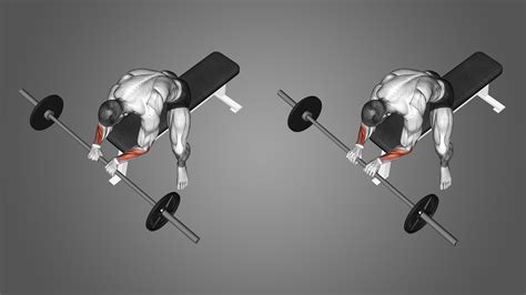 Barbell Reverse Wrist Curls: Benefits, Muscles Worked, and More ...