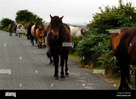 On the Move Stock Photo - Alamy