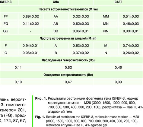 Allelic polymorphism of Romanov sheep for the meat productivity genes ...