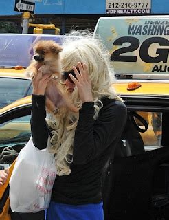 Amanda Bynes Hides Face From Paparazzi Using Dog (PHOTOS)