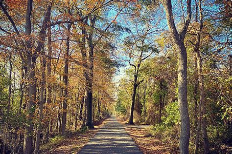 Walking Kent Island, Part I - Queen's Landing