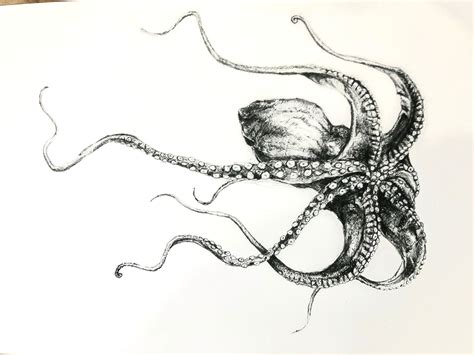 Octopus ink sketch Creative minds are rarely tidy. Prints Art ...