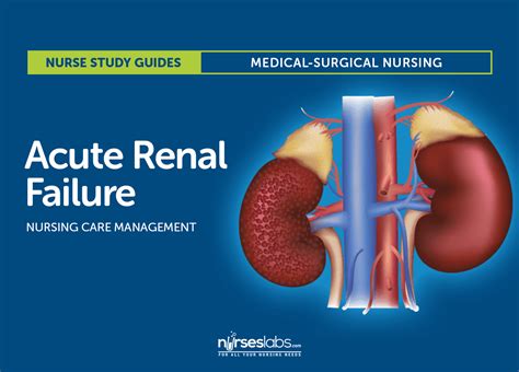 Phases Of Acute Renal Failure