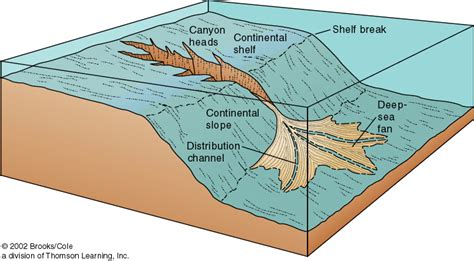 Topography of Earth’s Ocean Basin