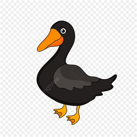 Caricatura Dibujado A Mano Pato Negro Clipart PNG ,dibujos Amarillo ...